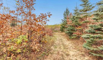 4006 ELKINS Rd, Amherst, WI 54406