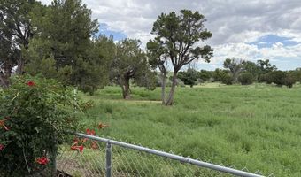 10 County Rd 5099, Concho, AZ 85924