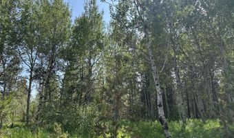 4340 BRODYS Bnd, Ashton, ID 83420