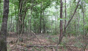 00 Pinola Braxton Rd, Braxton, MS 39044