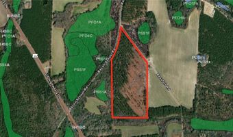 0 35.01 Acres Bacon School Rd, Alma, GA 31510