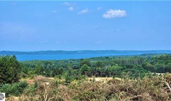 Parcel C Cemetery Road lot C, Alden, MI 49612