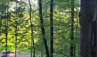 Lot # 19 Brush Hollow Road, Bovina, NY 13740