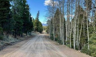 53 Forest Rd 76, Angel Fire, NM 87710