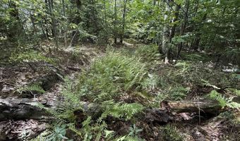 3919 E Bakersfield Rd, Bakersfield, VT 05450