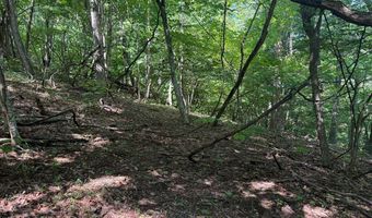 281 Scotts Branch Rd, Amherst, VA 24521
