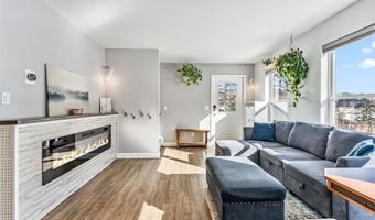 323 N OAK St, Alma, CO 80420