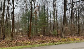 Lakeview Road, Andover, OH 44003