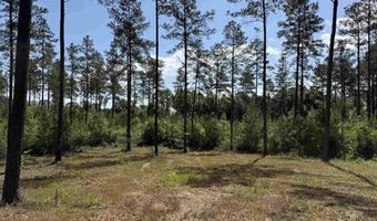 8450 Robinsonville Rd, Atmore, AL 36502