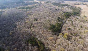 Maddox Road, Ackerman, MS 39735