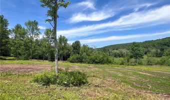 0 Woodland Hills Rd, Andes, NY 13731