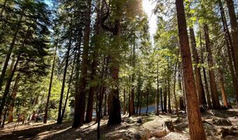 3285 Pocatello Cir, Camp Connell, CA 95223