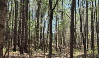 274 CR 3301, Booneville, MS 38829