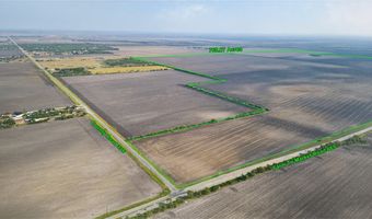 FM 665, Alice, TX 78332