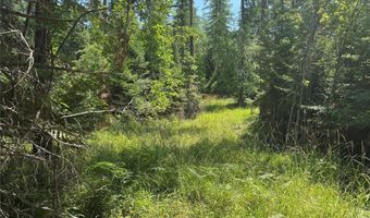 13643 Sundance Trl, Bigfork, MT 59911