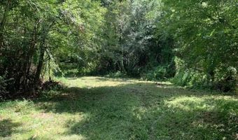 000 Mt Pleasant Ln SE, Bogue Chitto, MS 39629