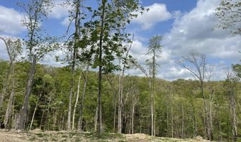 State Hwy N Tract G, Ava, MO 65608