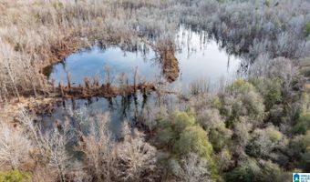 BRUSH CREEK DRIVE, Akron, AL 35441