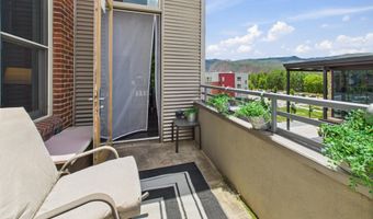 231 Robinson St R306, Basalt, CO 81621