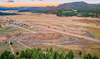 440 2104, Alpine, AZ 85920