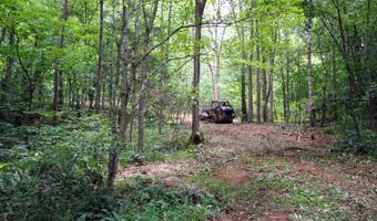 TBA BETTYS BRANCH RD X, Arvonia, VA 23004