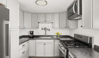 156 5 Midland Ave, Basalt, CO 81621