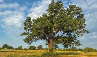 167 County Road 1475, Alvord, TX 76225