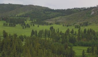 14884 Rist Canyon Rd, Bellvue, CO 80512