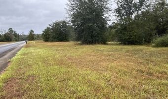 6362 NW Camphead Rd, Altha, FL 32421