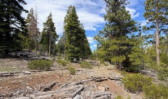 0 Yellowjacket Springs Rd, Beatty, OR 97621