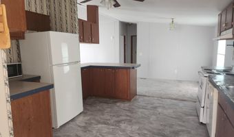 1228 Caw Caw Swamp Rd, Brunson, SC 29911