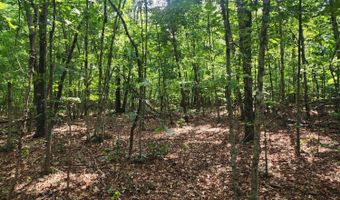 0- Lot 1-1 Red House, Appomattox, VA 24522