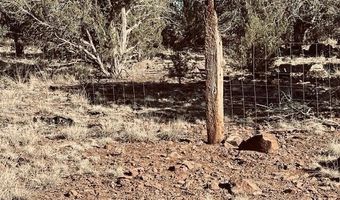 Terry Lane, Ash Fork, AZ 86046