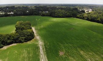 Tbd Cottingham Boulevard N, Bennettsville, SC 29512