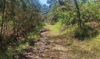 Rutherford Road, Batesville, MS 38606