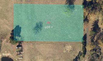 110 Rs County Road 2450, Alba, TX 75410