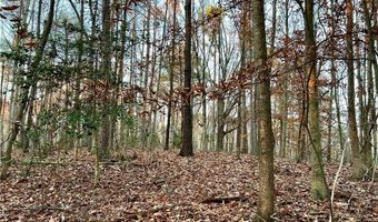 0 PEBBLE CREEK # 7 Ln, Alto, GA 30510