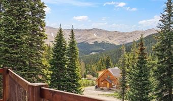 229 Lee Ln, Breckenridge, CO 80424