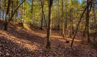 54 E Ridge Rd, Allardt, TN 38504