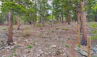 109 Cutforth Rd, Black Hawk, CO 80422