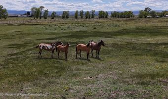 19033 Cr G, Antonito, CO 81120