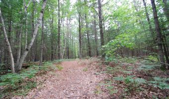 x Franklin Road, Alger, MI 48610