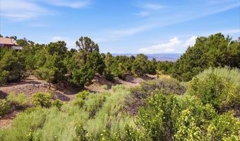 155 Oak Trail Cir, Cold Creek, NV 89124
