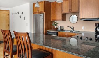 935 E Hopkins Ave 7, Aspen, CO 81611