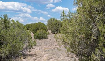 14 XX W BISON HUNT No Address Way 104, Chino Valley, AZ 86323
