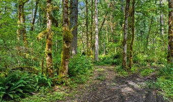 64601 E BRIGHTWOOD LOOP Rd, Brightwood, OR 97011