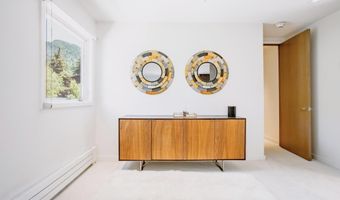 210 E Cooper Ave 3G, Aspen, CO 81611