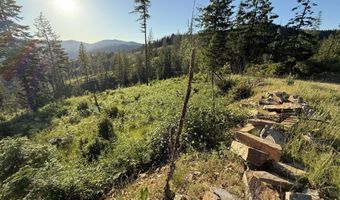 Nka E Doyle Road, Cataldo, ID 83810