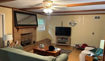 132 Ozark Rd, Abbeville, AL 36310