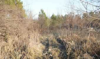 V/L Fawn Path Parcel B, Allegan, MI 49010